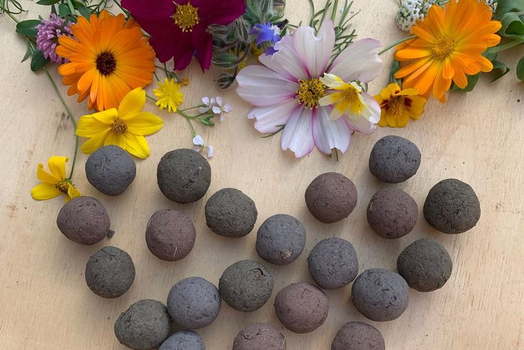 Lose Samenbomben in verschiedenen Farbtönen, zu einem Herz gelegt, dahinter Sommerblumen
