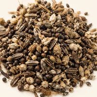A small heap of mixed wildflower seed of many shapes