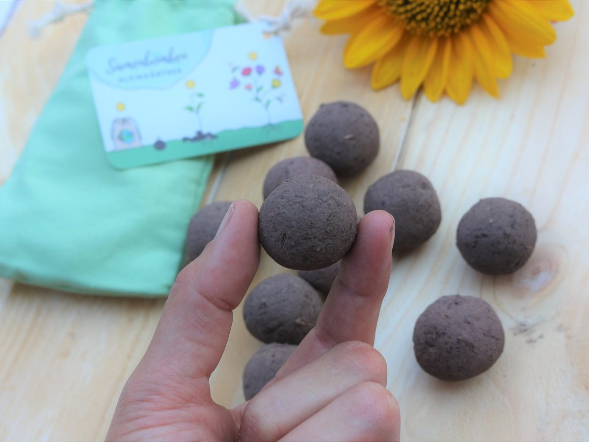 Sunflowers, 10 in a bag — in a mint cotton bag